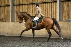 Isis Dressage Crown Farm Show 29th April 2012